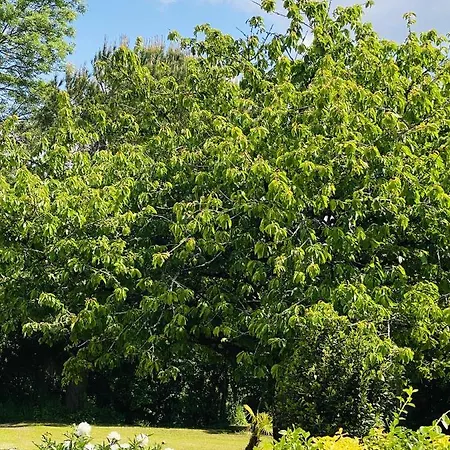 וילה Villa Spacieuse A Prailles-La Couarde Avec Piscine Privee 100 M² !