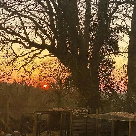 וילה Villa Spacieuse A Prailles-La Couarde Avec Piscine Privee 100 M² ! La Couarde