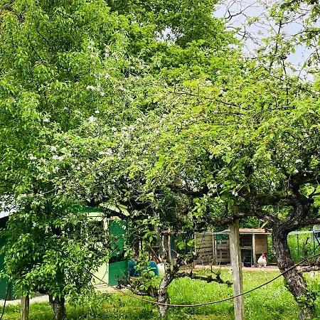 Villa Spacieuse A Prailles-La Couarde Avec Piscine Privee 100 M² ! * La Couarde