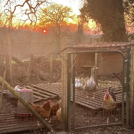 Villa Spacieuse A Prailles-La Couarde Avec Piscine Privee 100 M² ! וילה