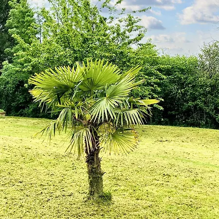 Villa Spacieuse A Prailles-La Couarde Avec Piscine Privee 100 M² ! *