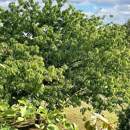 Villa Spacieuse A Prailles-La Couarde Avec Piscine Privee 100 M² ! Villa