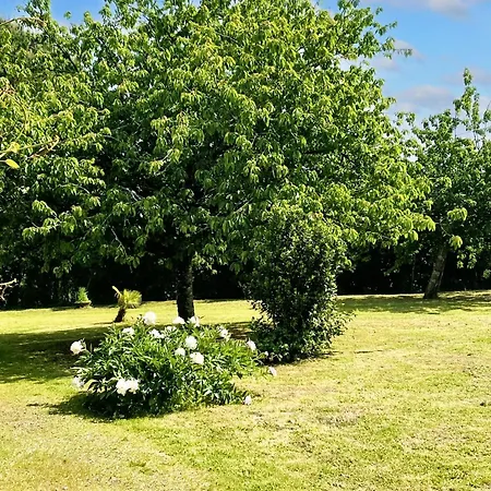 Villa Spacieuse A Prailles-La Couarde Avec Piscine Privee 100 M² ! La Couarde