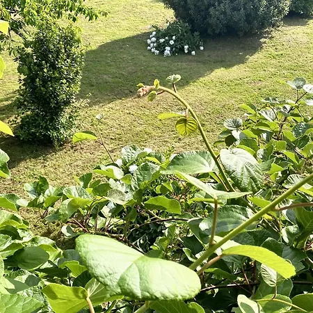 Villa Spacieuse A Prailles-La Couarde Avec Piscine Privee 100 M² ! *