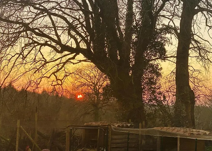 Villa Spacieuse à Prailles-la Couarde Avec Piscine Privée 100 M² ! La Couarde