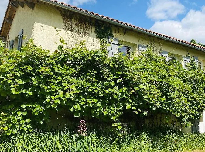 Spacieuse à Prailles-la Couarde Avec Piscine Privée 100 M² ! Villa