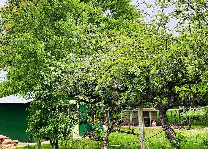 Spacieuse à Prailles-la Couarde Avec Piscine Privée 100 M² ! * La Couarde