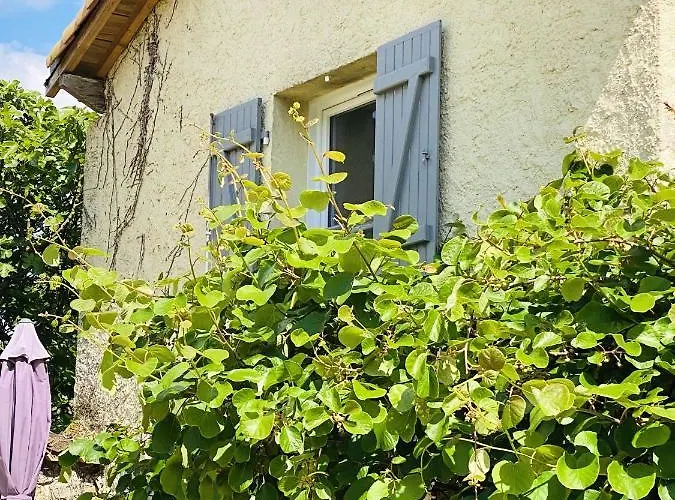 Villa Spacieuse à Prailles-la Couarde Avec Piscine Privée 100 M² ! *