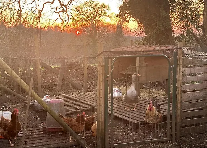 Spacieuse à Prailles-la Couarde Avec Piscine Privée 100 M² ! Villa