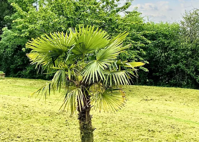 Spacieuse à Prailles-la Couarde Avec Piscine Privée 100 M² ! *