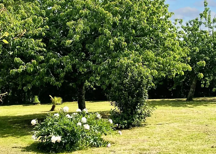 Spacieuse à Prailles-la Couarde Avec Piscine Privée 100 M² ! La Couarde