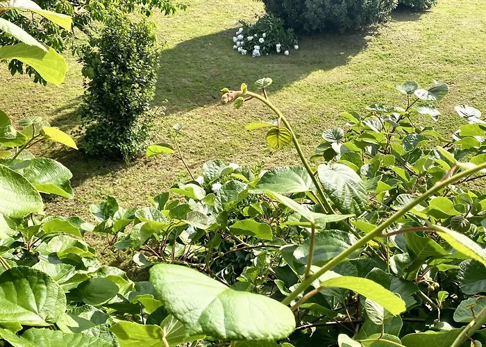 Spacieuse à Prailles-la Couarde Avec Piscine Privée 100 M² ! *