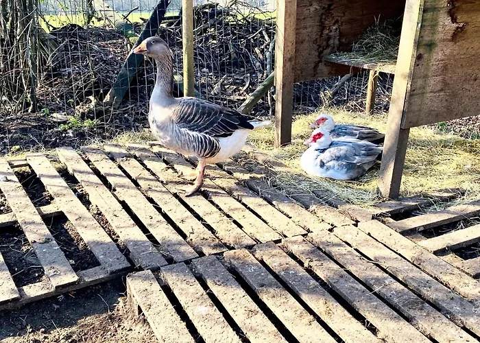 Spacieuse à Prailles-la Couarde Avec Piscine Privée 100 M² ! Villa *