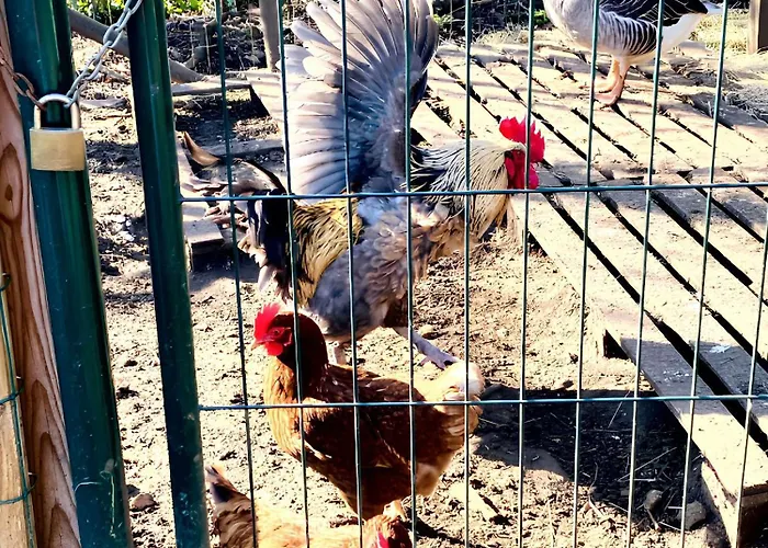 Spacieuse à Prailles-la Couarde Avec Piscine Privée 100 M² !